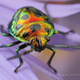 Illustration for article titled The Strange Cuteness of Insect Portraits